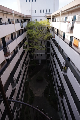 植栽が７階まで伸びており植栽豊かです。